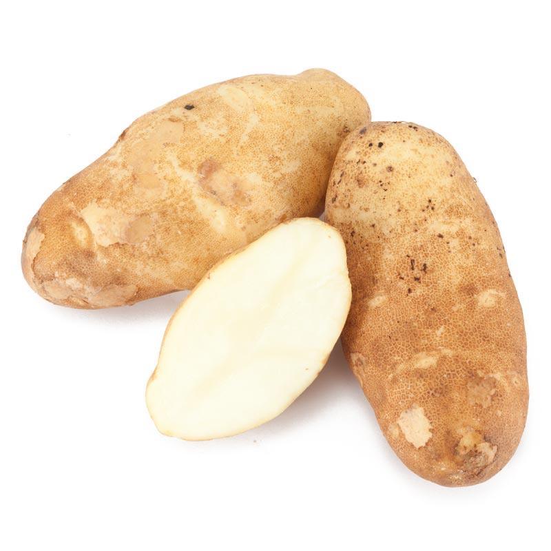 Organic Burbank Russet Seed Potato (lb)