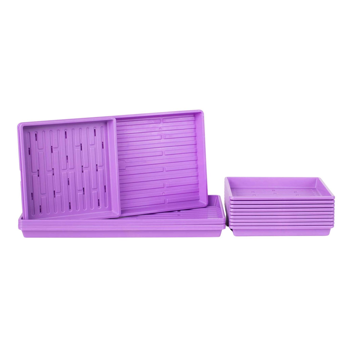 1010 Microgreens Kit