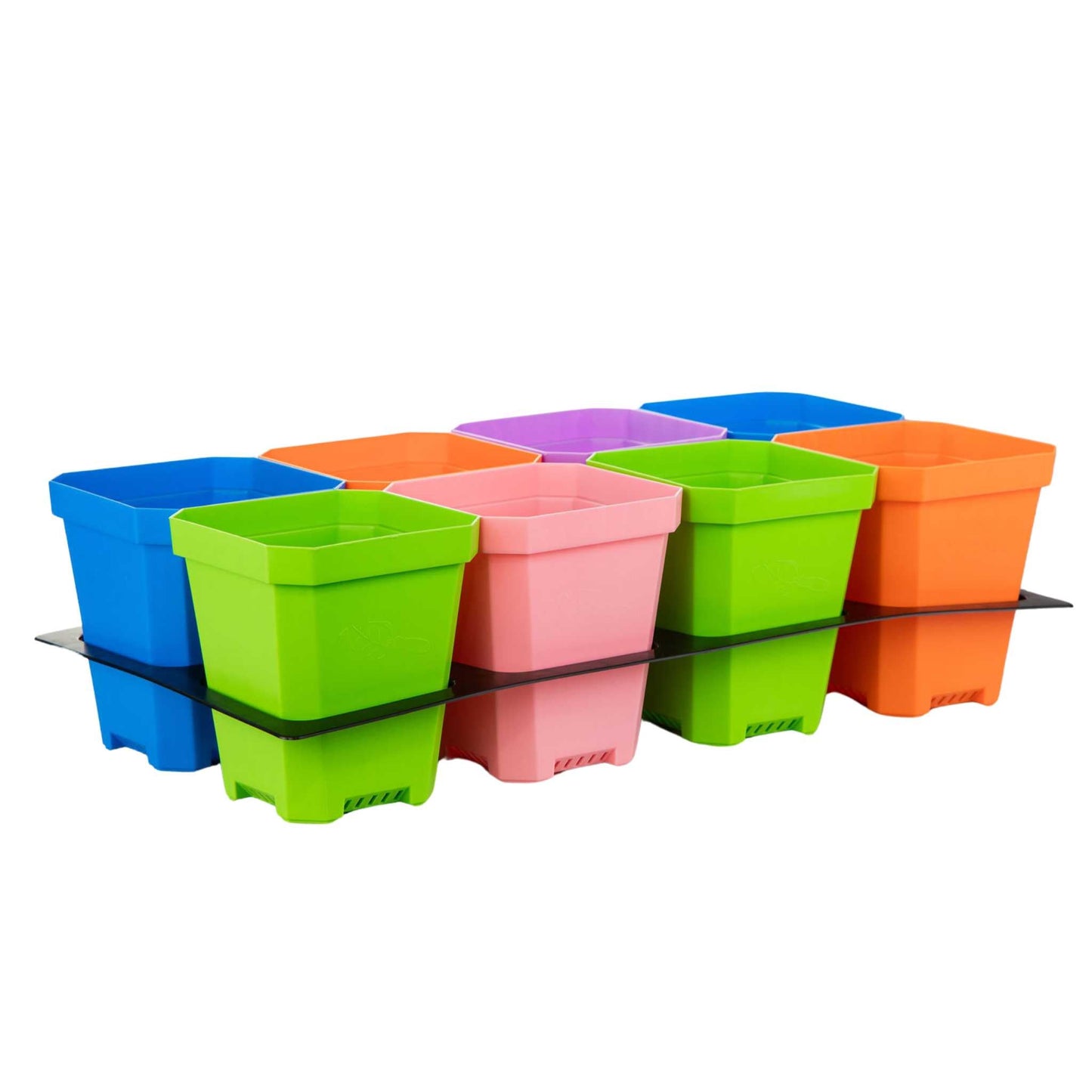 5" Nursery Pots with Insert Tray