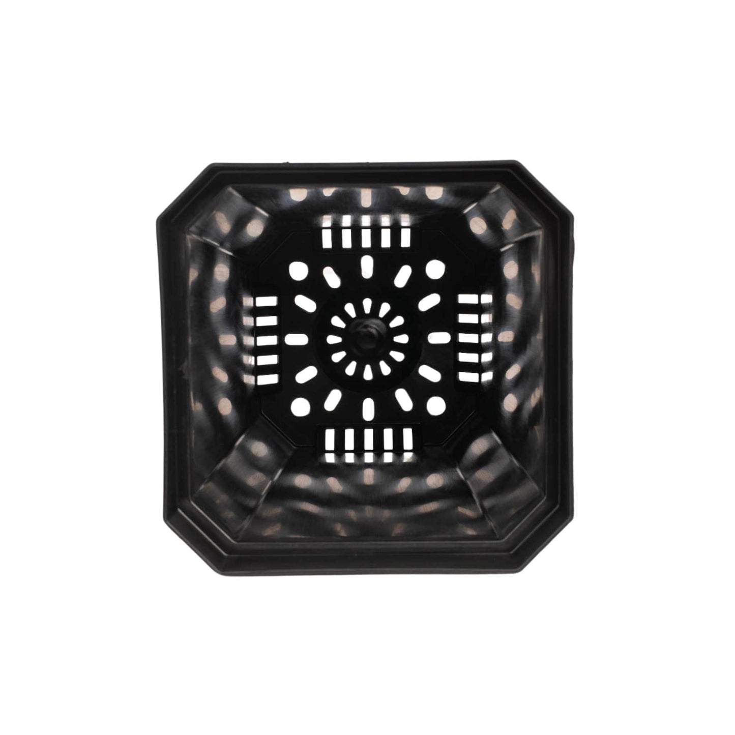 5" Nursery Pots with Insert Tray