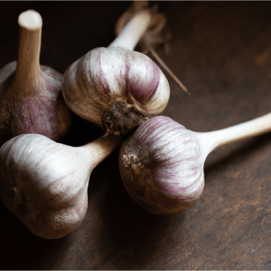 Organic Red Chesnok Garlic (lb)