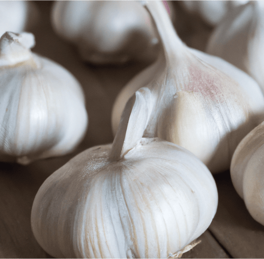 Elephant Garlic (Lb)