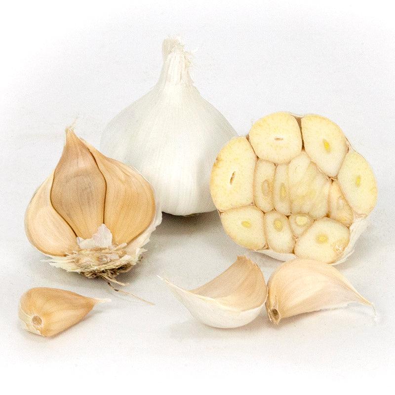 Organic Early Purple Italian Garlic (lb)