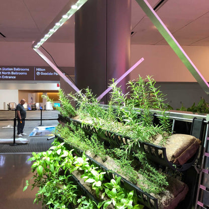 Filled Ellepot Pouches for Vertical Gardens