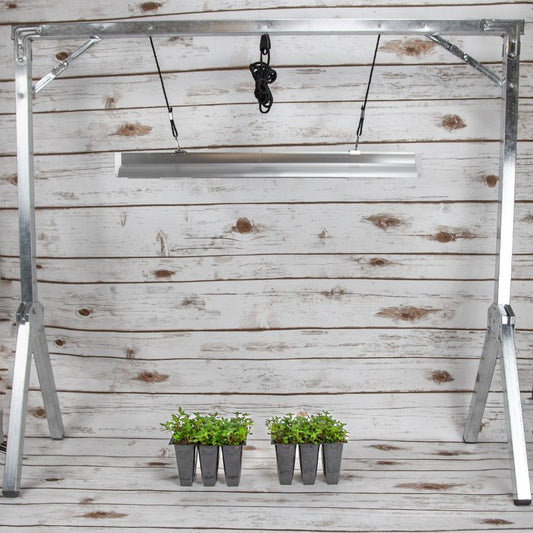 2-Foot Light System with One Lamp