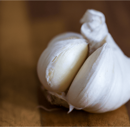 Organic German Xtra Hardy Garlic (Lb)