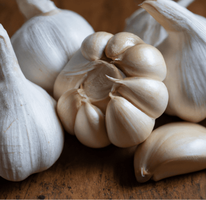 Organic German White Garlic (lb)