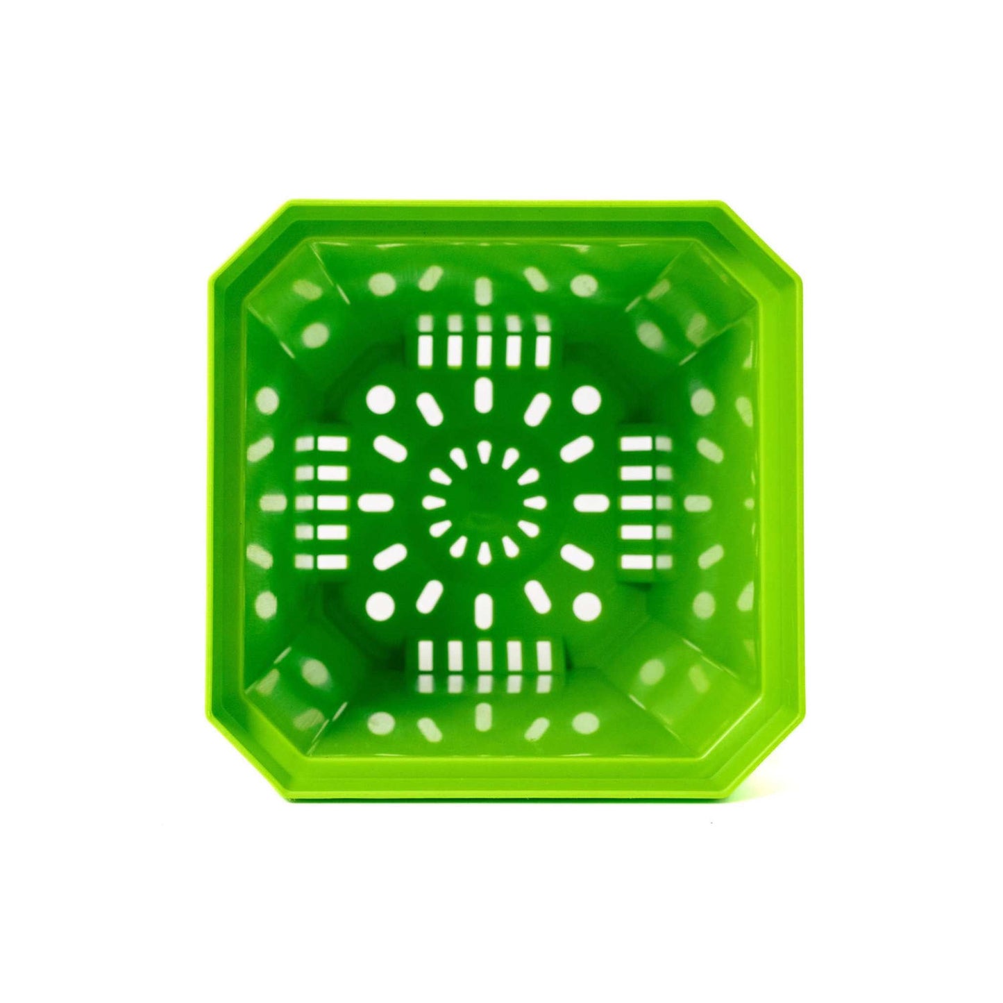 5" Nursery Pots with Insert Tray