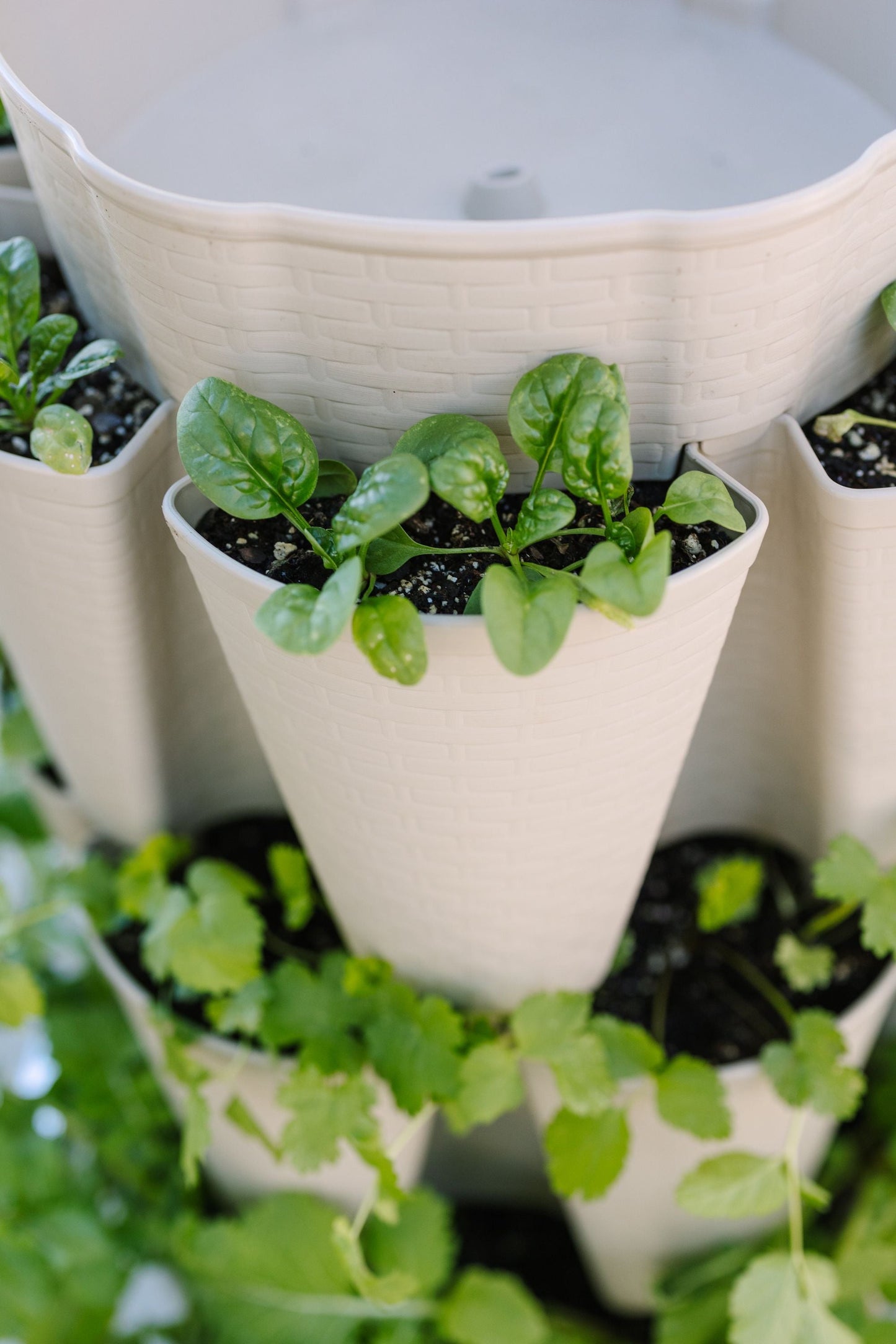 5 Tier GreenStalk Original Vertical Planter | Stunning Stone (Basket Weave Texture) 