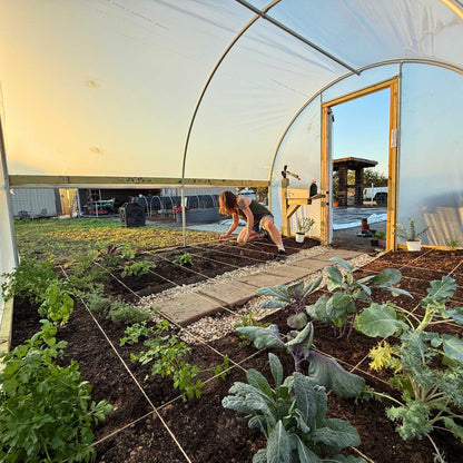 Hobby Greenhouse Kit