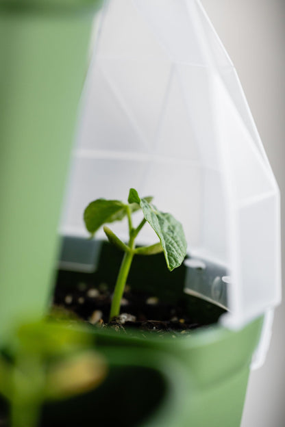 GreenStalk Garden Seed House - Set of 6