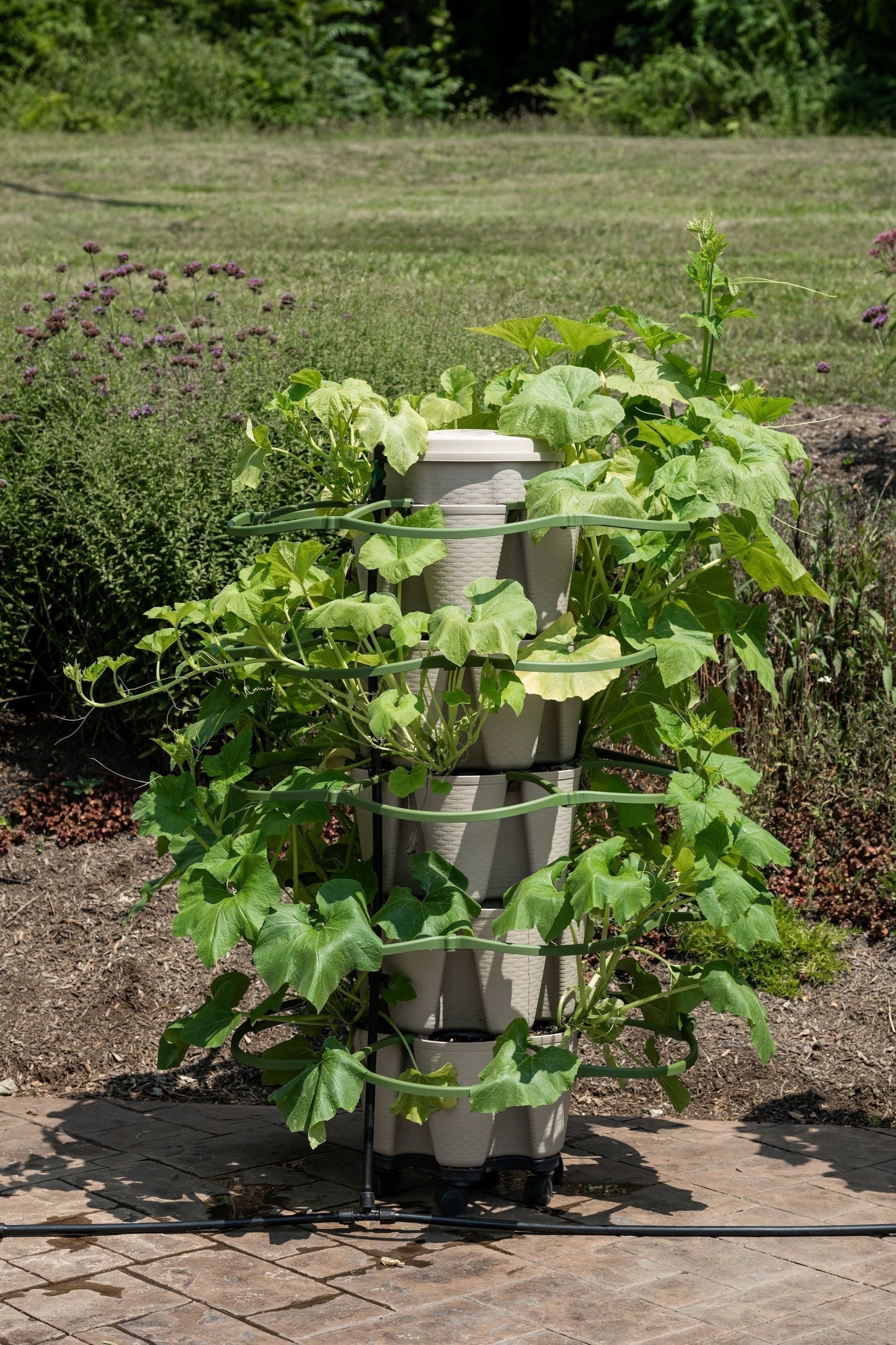 GreenStalk Garden Plant Support