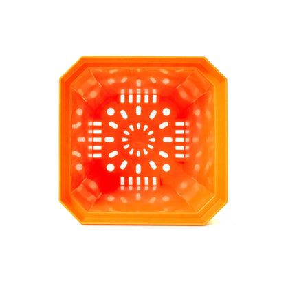 5" Nursery Pots with Insert Tray