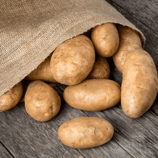 Organic Burbank Russet Seed Potato (lb)