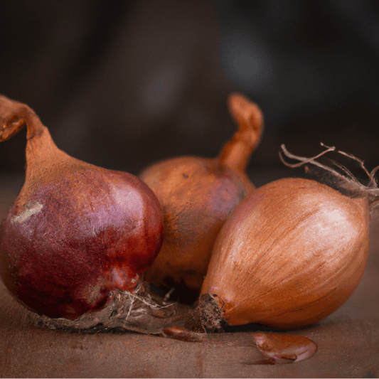 Organic French Red Shallots (lb)