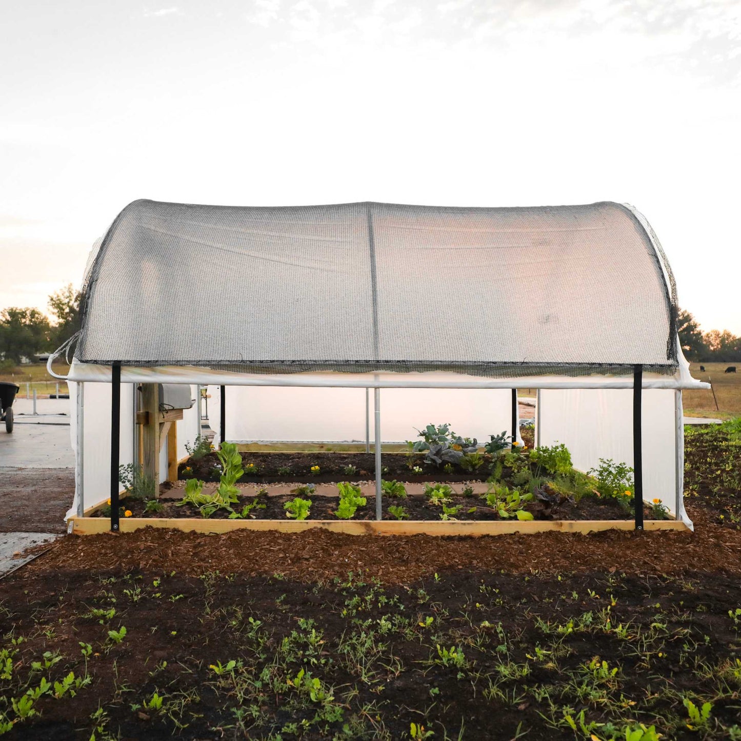 Hobby Greenhouse Kit