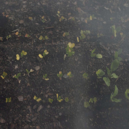 Heavy-Duty Insect Netting