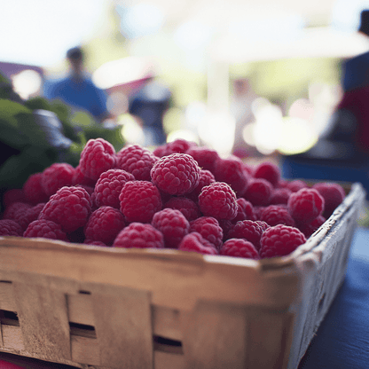 Raspberry - Willamette