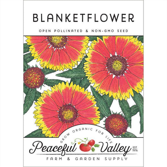 Blanketflower (pack)