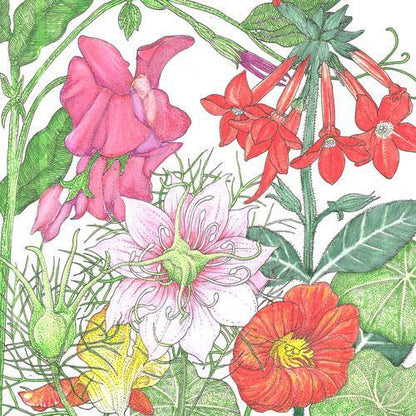 Fragrant Garden Wildflower Mix (1/4 lb)