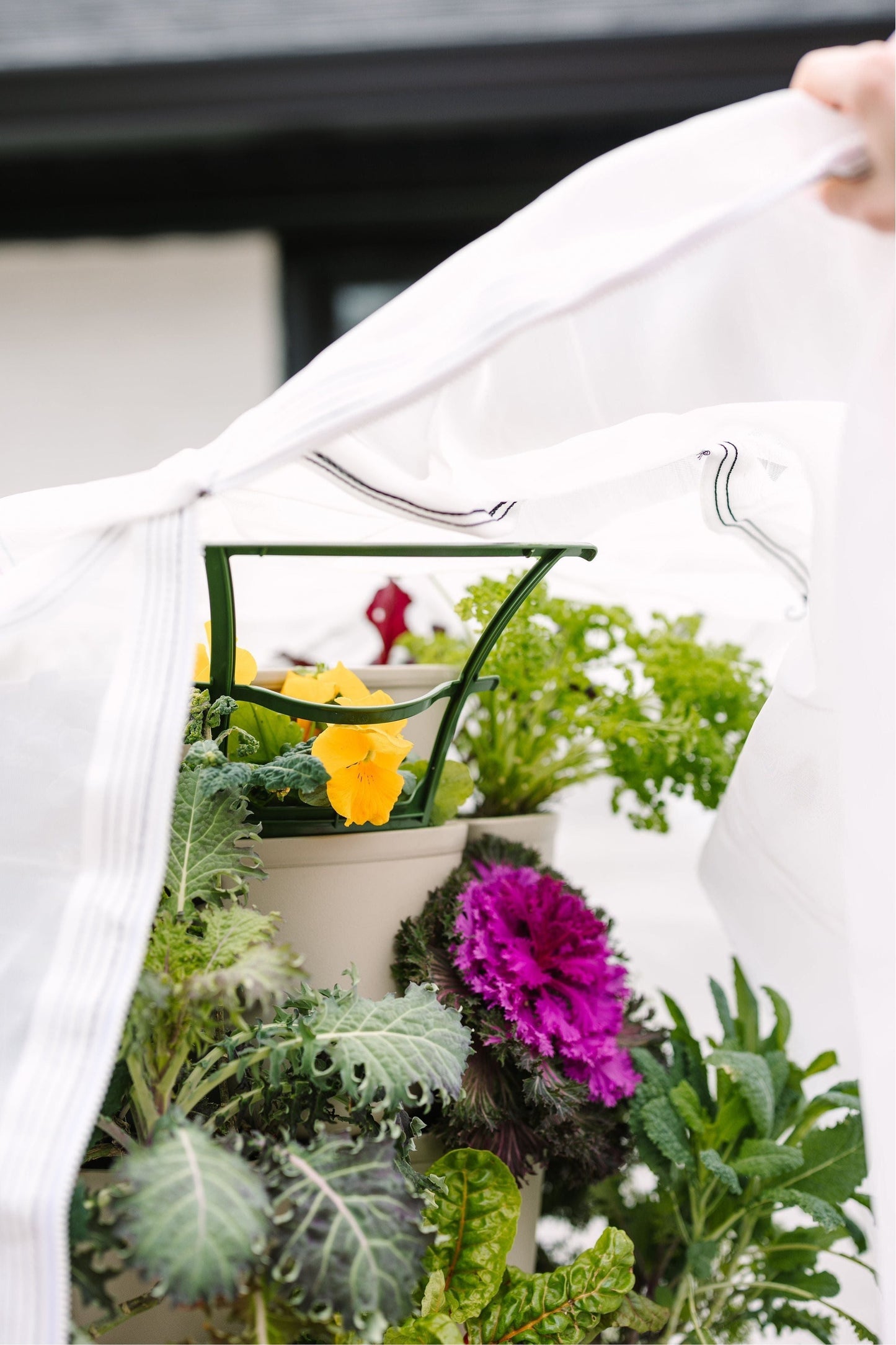 GreenStalk Garden Trellis - Set of 3