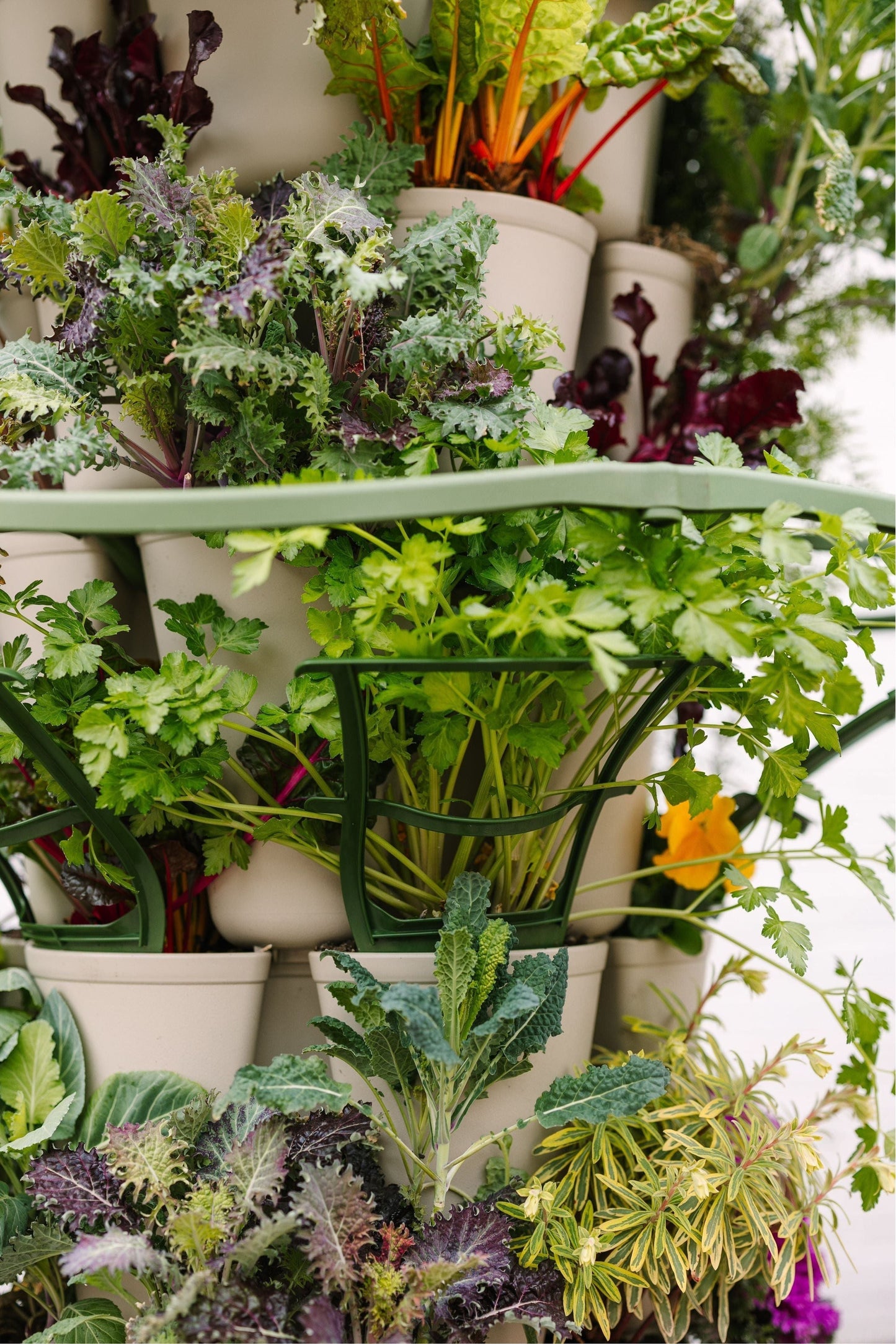 GreenStalk Garden Trellis - Set of 3