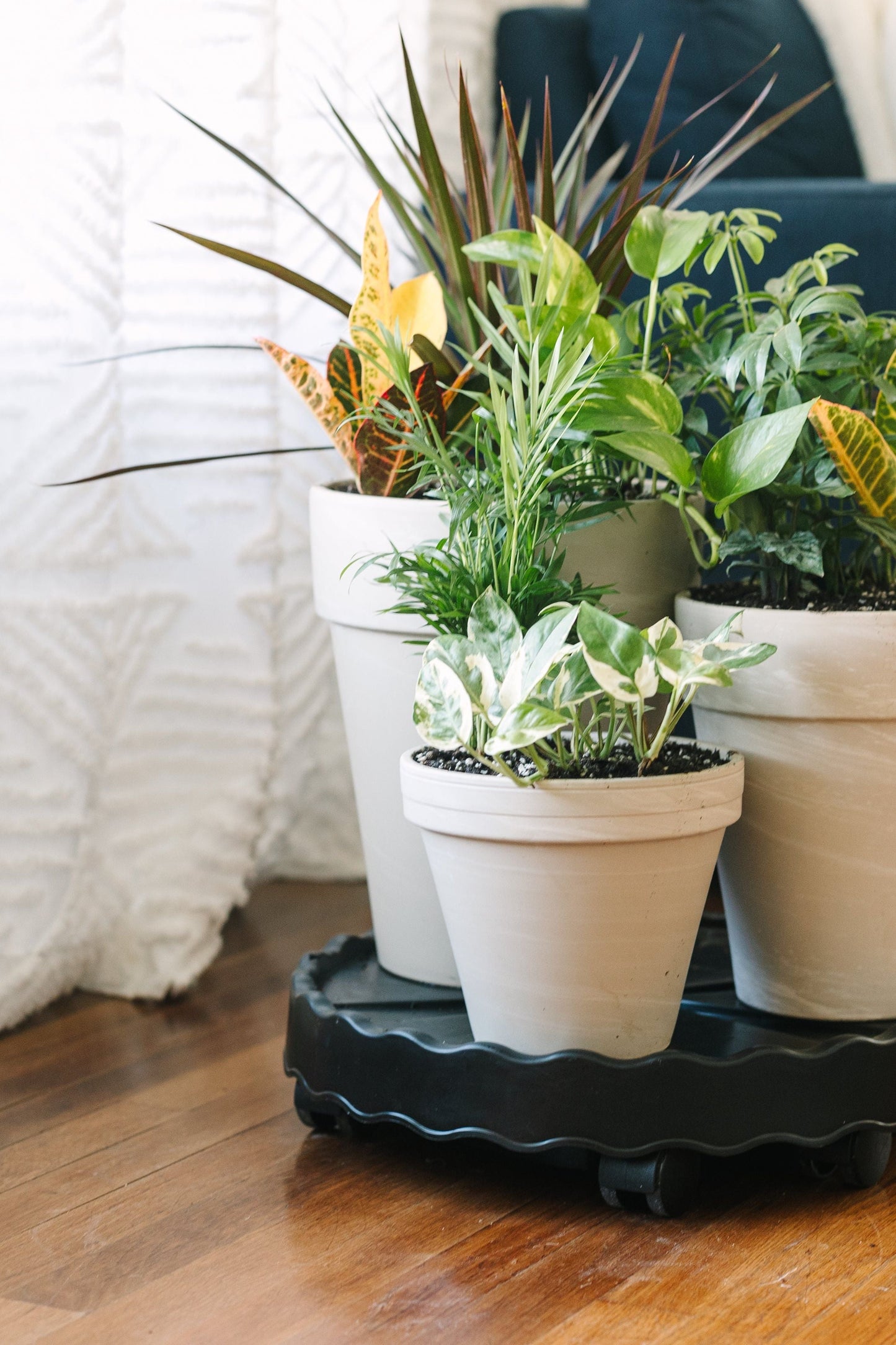 GreenStalk Garden Ultimate Mover