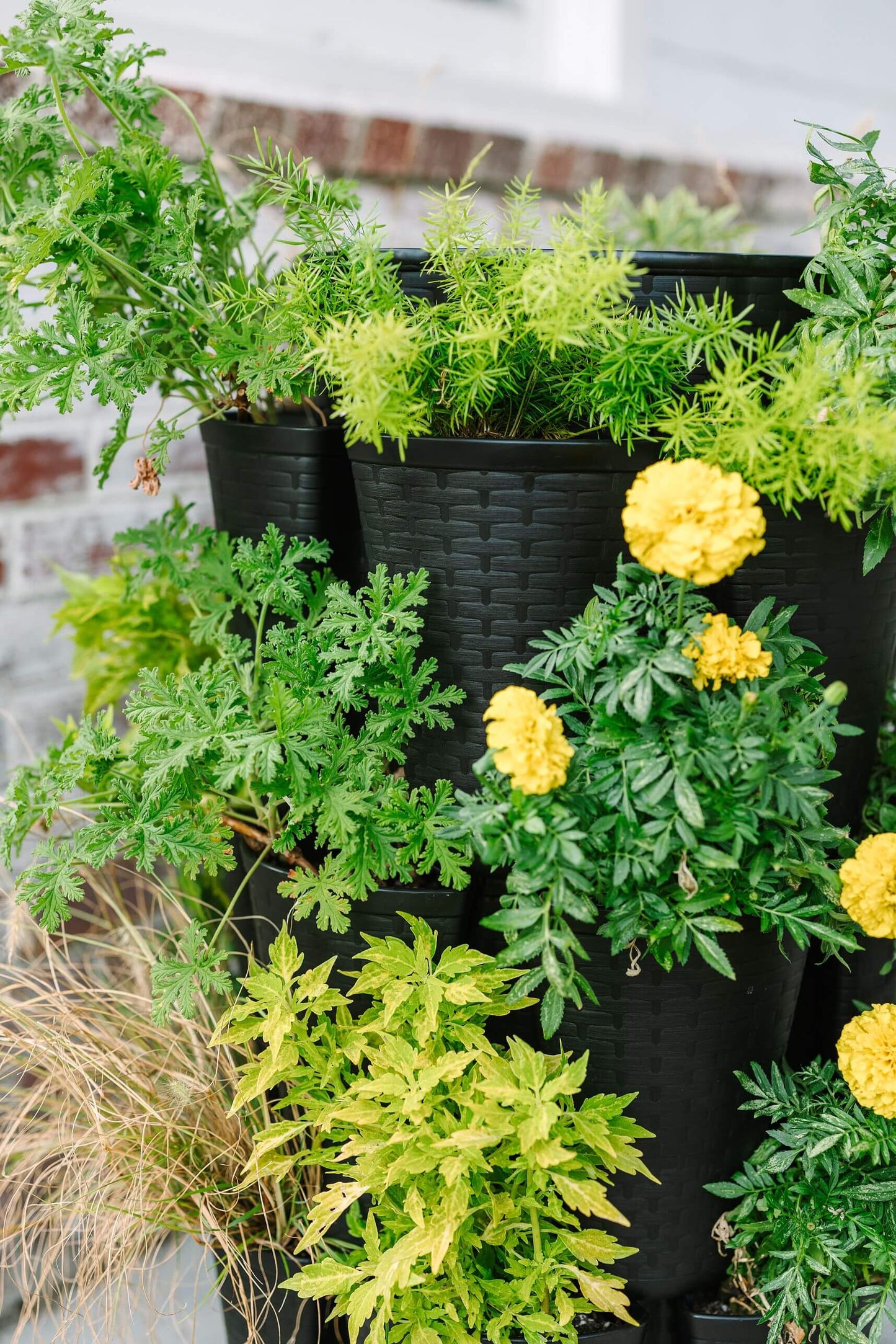 5 Tier GreenStalk Original Vertical Planter | Beautiful Black (Basket Weave Texture) 