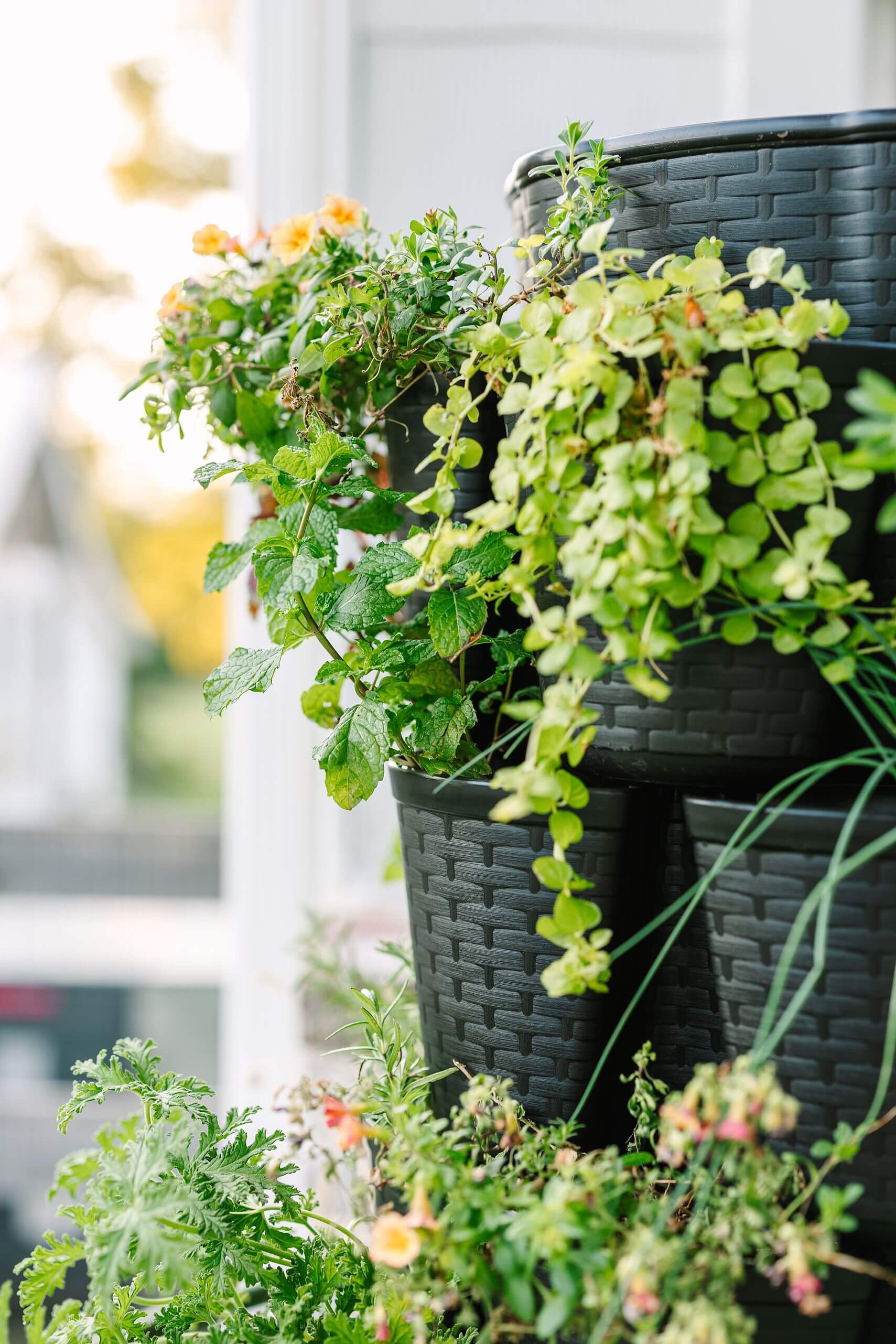 7 Tier GreenStalk Leaf Vertical Planter | Beautiful Black (Basket Weave Texture) 