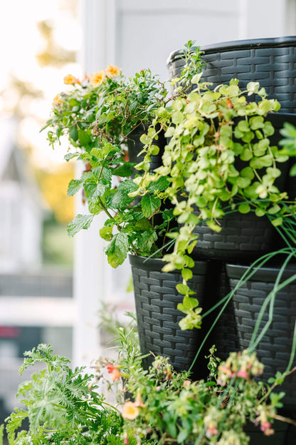 7 Tier GreenStalk Leaf Vertical Planter | Beautiful Black (Basket Weave Texture) 