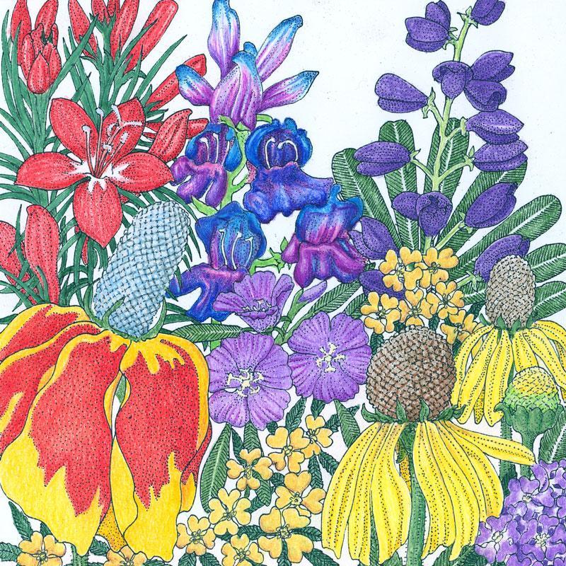 North American Perennial Wildflower Mix (1/4 lb)