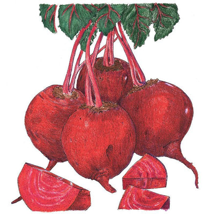 Detroit Dark Red Beet Seeds (Organic)