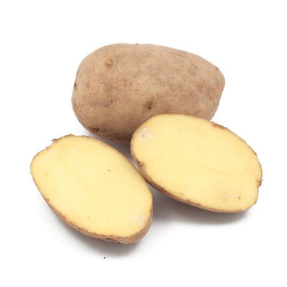 Organic German Butterball Seed Potato (lb)