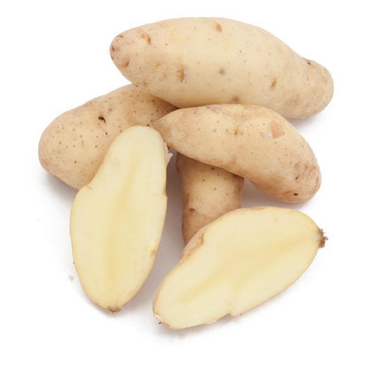 Organic Russian Banana Fingerling Seed Potato (lb)