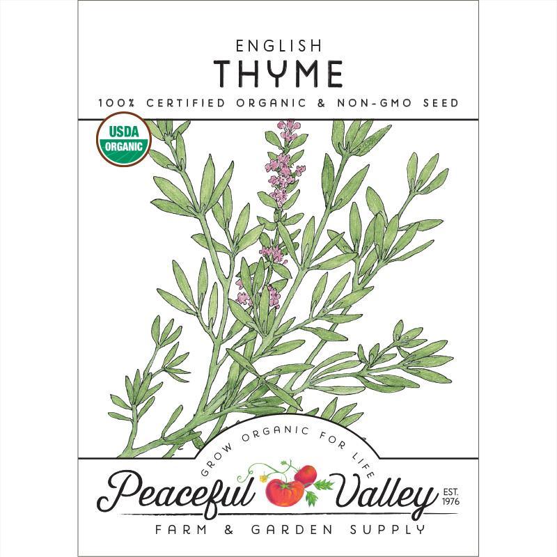 English Thyme Seeds (Organic)