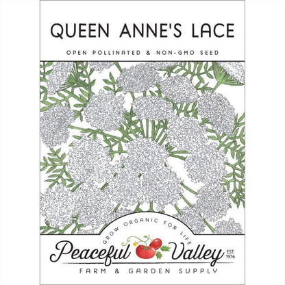 Queen Anne's Lace (pack)