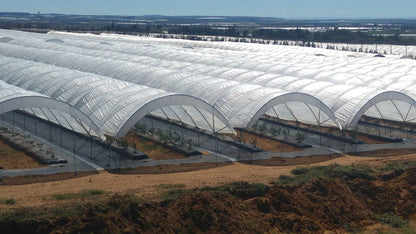 Greenhouse Woven Plastic 8 mil- Solarig 156
