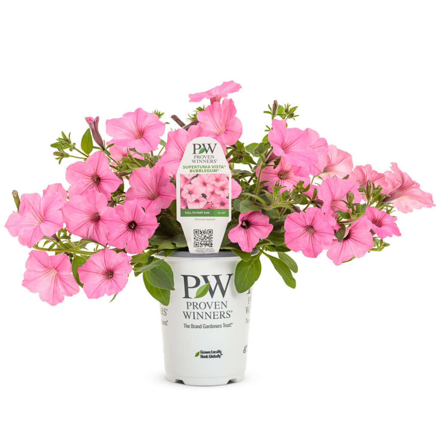 Proven Winners Supertunia Vista® Bubblegum®